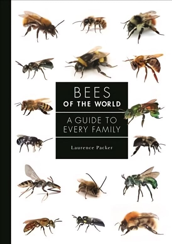 Bees of the World: A Guide to Every Family цена и информация | Majandusalased raamatud | kaup24.ee