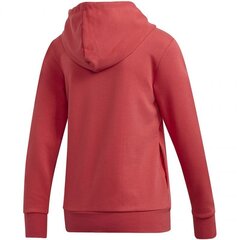 HOODIE ADIDAS CORE W E LIN OH HD FM6440 цена и информация | Женские толстовки | kaup24.ee