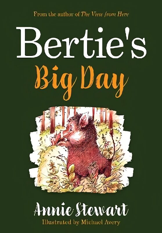 Bertie's Big Day hind ja info | Noortekirjandus | kaup24.ee