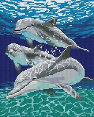 Набор алмазной мозаики "Дельфины - с рамой 30х40 см" цена и информация | Алмазная мозаика | kaup24.ee