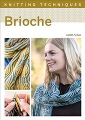 Knitting Techniques: Brioche hind ja info | Kunstiraamatud | kaup24.ee