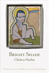 Bright Shade цена и информация | Поэзия | kaup24.ee