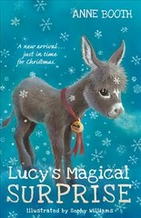 Lucy's Magical Surprise hind ja info | Noortekirjandus | kaup24.ee