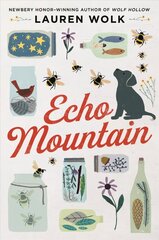 Echo Mountain цена и информация | Книги для подростков и молодежи | kaup24.ee