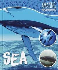 Sea цена и информация | Книги для детей | kaup24.ee