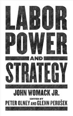 Labor Power And Strategy цена и информация | Книги по социальным наукам | kaup24.ee