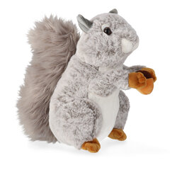 Suur pehme orav, hall цена и информация | Мягкие игрушки | kaup24.ee