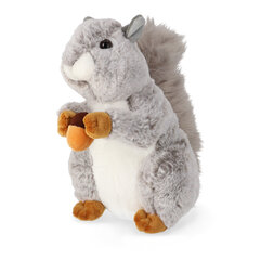 Suur pehme orav, hall hind ja info | Pehmed mänguasjad | kaup24.ee
