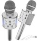 Laste karaoke mikrofon koos kõlariga, hõbedane hind ja info | Arendavad mänguasjad | kaup24.ee