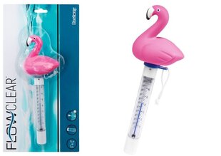 Basseinitermomeeter Flamingo, Bestway 58595 hind ja info | Basseinitehnika | kaup24.ee