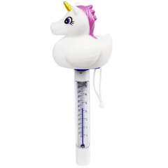 Basseinitermomeeter Unicorn, Bestway 58595 hind ja info | Basseinitehnika | kaup24.ee