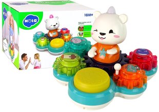 Interaktiivne mänguasi Bear Rhythm Drum цена и информация | Развивающие игрушки | kaup24.ee