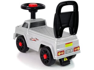 Roller, hõbedane "Starlight shadow'' Lean Toys цена и информация | Игрушки для малышей | kaup24.ee