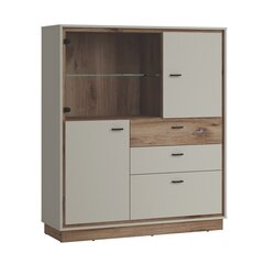 Showcase RIVERO 124x40xH143cm, oak/grey цена и информация | Витрины, серванты | kaup24.ee