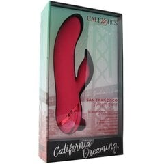 Vibraator San Francisco Sweetheart, roosa hind ja info | Vibraatorid | kaup24.ee