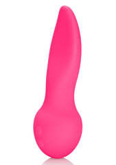 Silicone Marvelous Flicker hind ja info | Vibraatorid | kaup24.ee