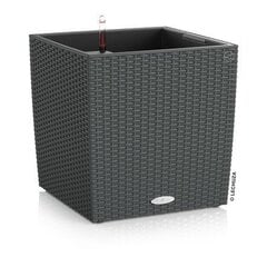 Lechuza lillepott Cube Cottage 40 cm hind ja info | Dekoratiivsed lillepotid | kaup24.ee