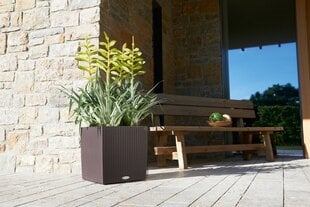 Lechuza lillepott Cube Cottage 40 cm hind ja info | Dekoratiivsed lillepotid | kaup24.ee