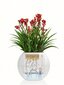 Lechuza pott Puro Color 16 cm hind ja info | Dekoratiivsed lillepotid | kaup24.ee
