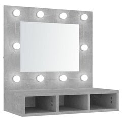 vidaXL peegelkapp betoonhall LEDiga 60x31,5x62 cm цена и информация | Шкафчики для ванной | kaup24.ee