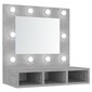 vidaXL peegelkapp betoonhall LEDiga 60x31,5x62 cm hind ja info | Vannitoakapid | kaup24.ee