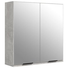 vidaXL vannitoa peegelkapp, betoonhall, 64 x 20 x 67 cm цена и информация | Шкафчики для ванной | kaup24.ee