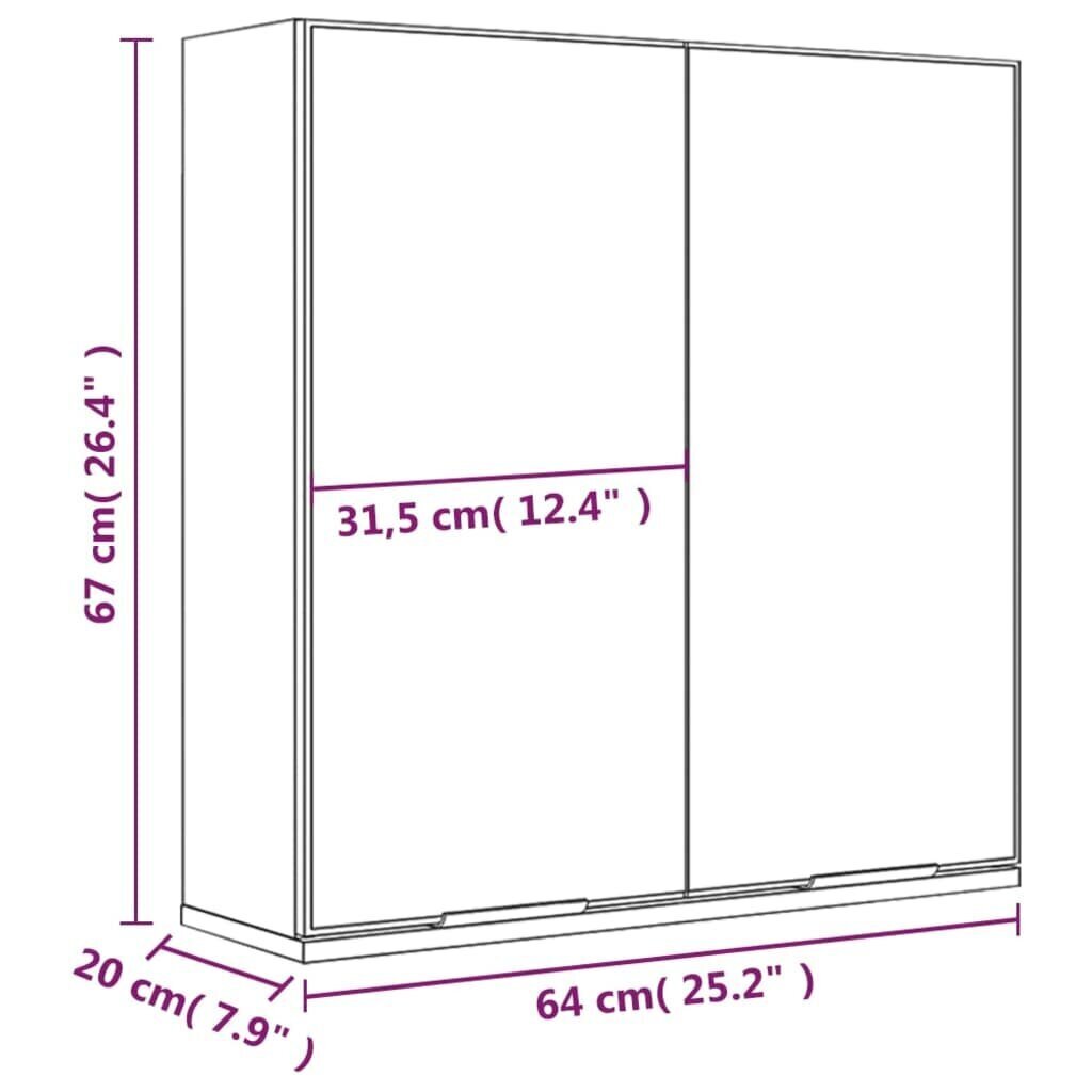 vidaXL vannitoa peegelkapp, betoonhall, 64 x 20 x 67 cm hind ja info | Vannitoakapid | kaup24.ee