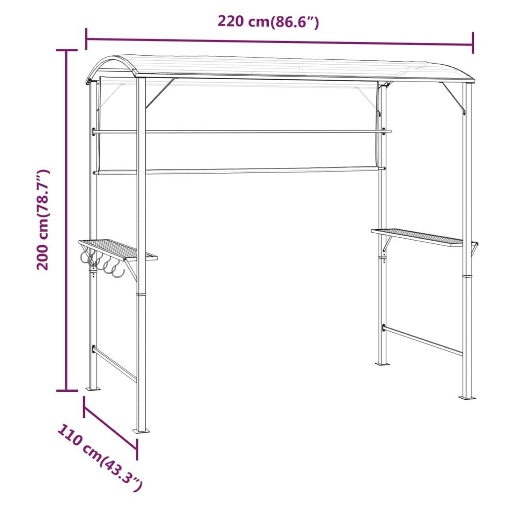 vidaXL varjualune katusega 220x110x200 cm, antratsiithall цена и информация | Varikatused ja aiapaviljonid | kaup24.ee