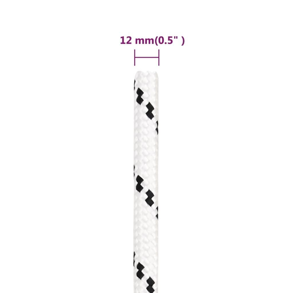 vidaXL punutud paadiköis 12 mm x 100 m polüester hind ja info | Lisatarvikud paatidele ja süstadele | kaup24.ee