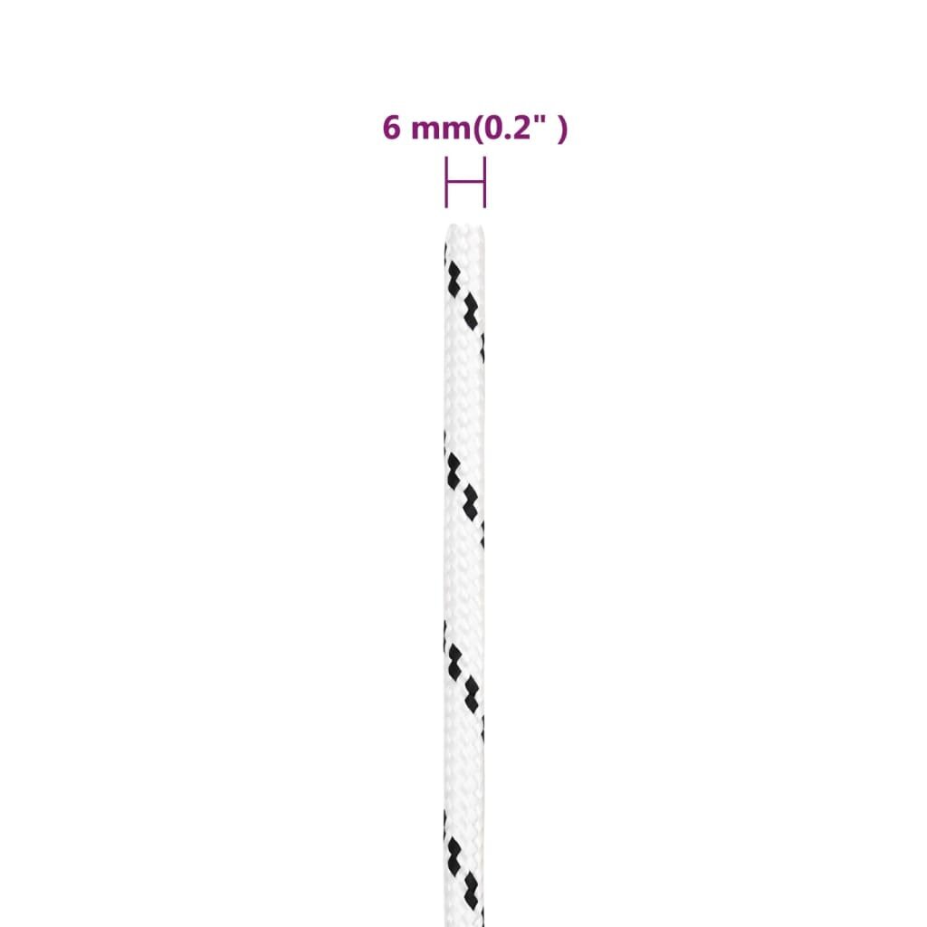 vidaXL punutud paadiköis 6 mm x 100 m polüester hind ja info | Lisatarvikud paatidele ja süstadele | kaup24.ee