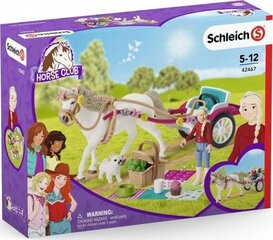 Фигурка Schleich Выставка лошадей цена и информация | MUST Металлическая бутылочка с Ярким рисунком (без BPA) (500ml) для мальчиков от 3+ лет Серая с Машинкой | kaup24.ee