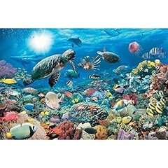 Пазл Ravensburger Under the sea, 5000 д. цена и информация | Пазлы | kaup24.ee