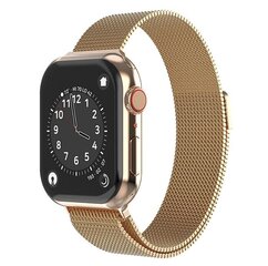 Swissten Металлический ремешок для Apple Watch 1/2/3/4/5/6/SE / 42 mm / 44 mm цена и информация | Аксессуары для смарт-часов и браслетов | kaup24.ee