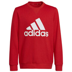 Poiste dressipluus Adidas Big Logo Swt Jr HN1911 цена и информация | Свитеры, жилетки, пиджаки для мальчиков | kaup24.ee