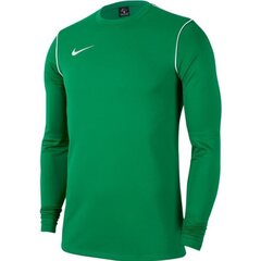 Мужская футболка Nike Park 20 Crew Top M BV6875 302, зеленая цена и информация | Мужская спортивная одежда | kaup24.ee