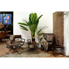 Ruloo DKD Home Decor, 120 x 2 x 230 cm hind ja info | Rulood | kaup24.ee