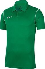 Pluus Nike Park 20, roheline цена и информация | Футбольная форма и другие товары | kaup24.ee