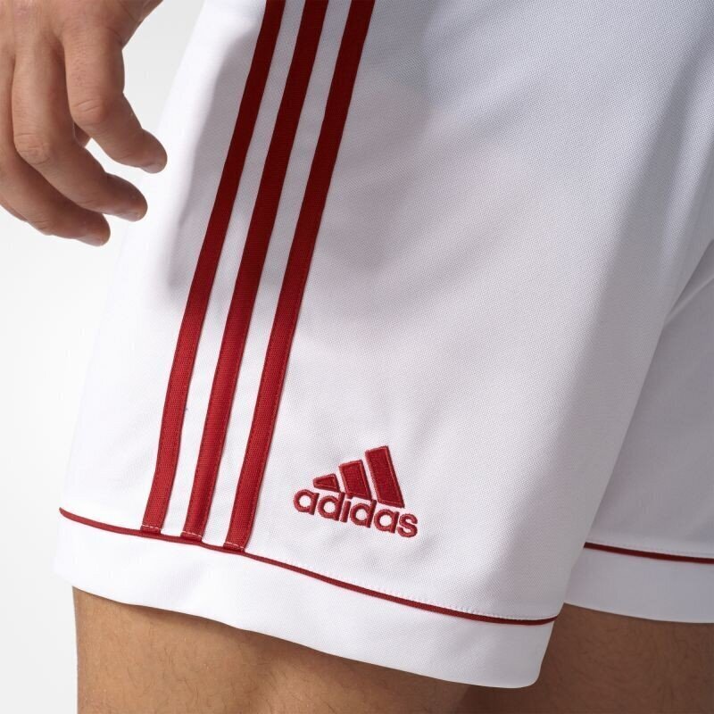 Meeste lühikesed püksid Adidas Squadra 17 M BK4762, valge hind ja info | Meeste lühikesed püksid | kaup24.ee