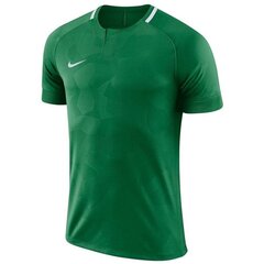 Poiste T-särk Nike цена и информация | Рубашки для мальчиков | kaup24.ee