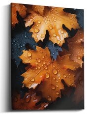 Картина Orange Raindrops цена и информация | Картины, живопись | kaup24.ee