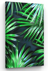 Картина Palmtree Leaf цена и информация | Картины, живопись | kaup24.ee