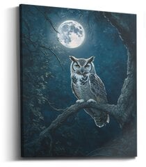 Картина Owl Black цена и информация | Картины, живопись | kaup24.ee