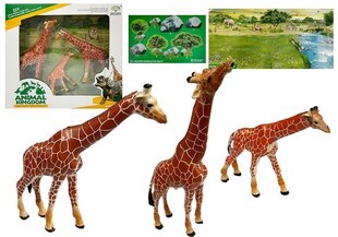 Фигурки жирафов, 3 шт. цена и информация | Игрушки для мальчиков | kaup24.ee