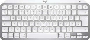 Logitech Mx Keys Mac Mini цена и информация | Клавиатура с игровой мышью 3GO COMBODRILEW2 USB ES | kaup24.ee