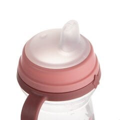 Pudel koos tilaga Canpol Babies Bonjour Paris 56/613, 6 kuud+, 250ml цена и информация | Бутылочки и аксессуары | kaup24.ee