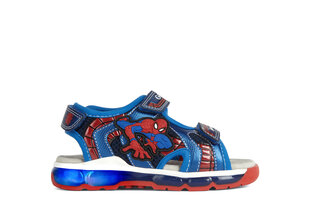 Geox sandaalid lastele Spiderman, Erinevad värvid hind ja info | Laste kingad | kaup24.ee