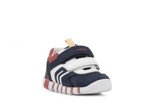 Geox jalatsid poistele 1193926, valge/sinine hind ja info | Laste kingad | kaup24.ee