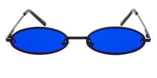Женские солнцезащитные очки синего цвета цена и информация | Женские солнцезащитные очки | kaup24.ee