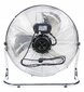 Põrandaventilaator Powermat 250W цена и информация | Ventilaatorid | kaup24.ee