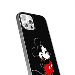 Disney для Apple Iphone 11, разные цвета цена и информация | Чехлы для телефонов | kaup24.ee